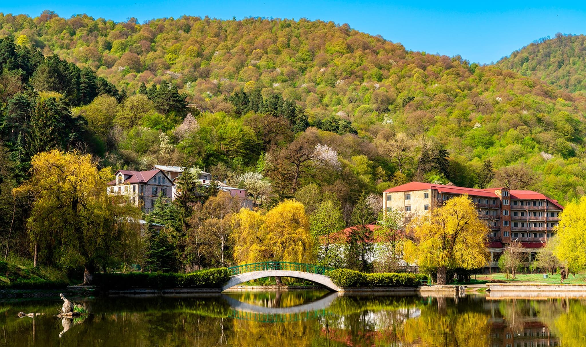 WhatsApp Image 2026-03-29 at 11.25.01 (1)